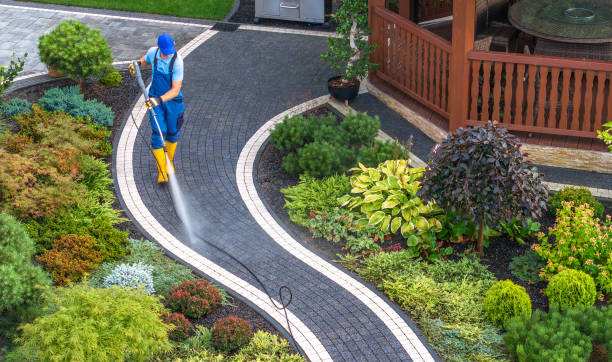 Best Residential Pressure Washing in USA