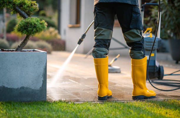 Best Window Cleaning in USA